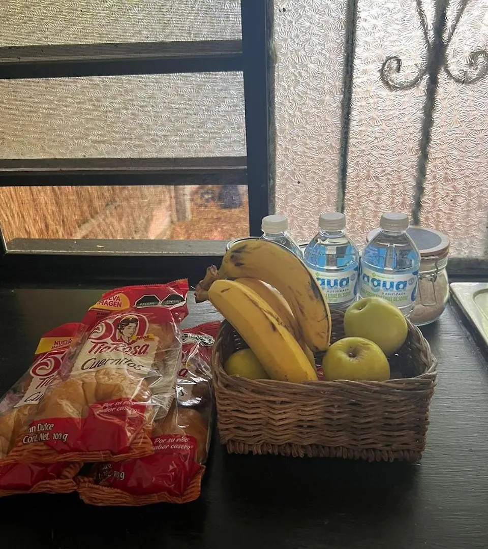 Hotel Selva Y Arte Bacalar - Gratis Renta Bicicletas Y Kayyaks